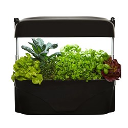 Vegepod KG001B Kitchen Garden (Black)