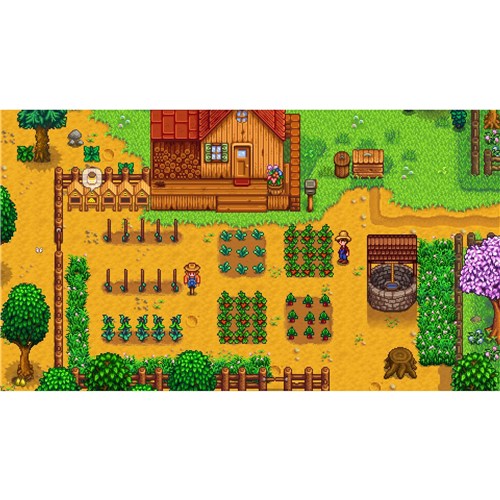 Stardew Valley