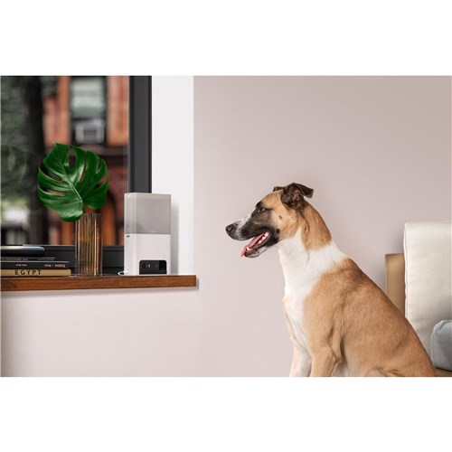 Petcube Bites 2 Lite Smart HD Pet Camera with Treat Dispenser