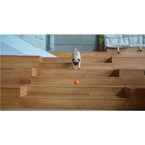Cheerble Wicked Ball SE Medium (Orange)