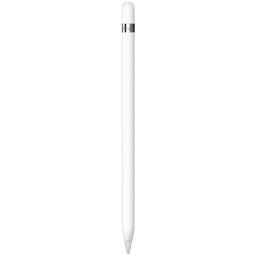 Apple Pencil with Adapter (1st Gen)