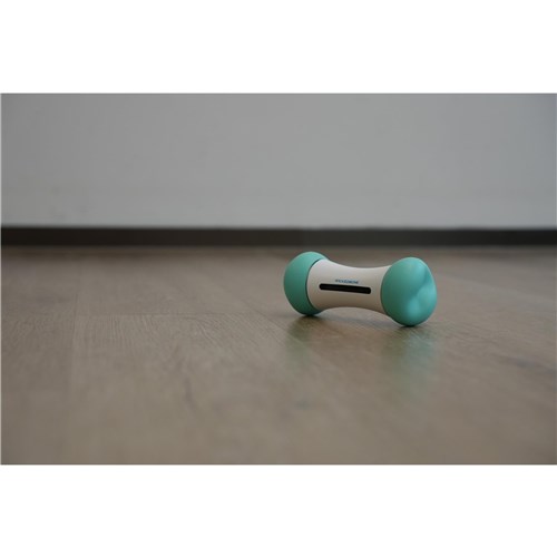 Cheerble Wicked Bone SE (Mint)