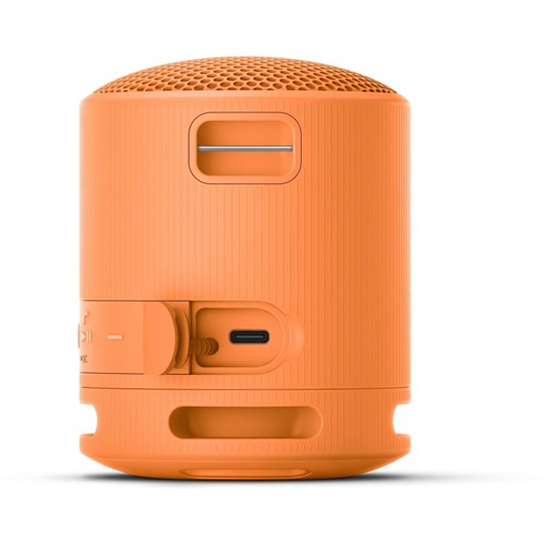 Sony SRS-XB100 Compact Wireless Bluetooth Speaker (Orange)