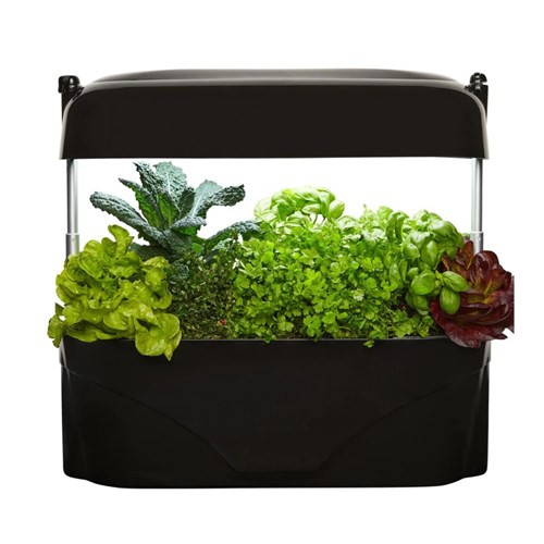 Vegepod KG001B Kitchen Garden (Black)