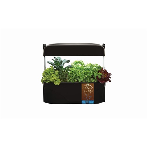 Vegepod KG001B Kitchen Garden (Black)