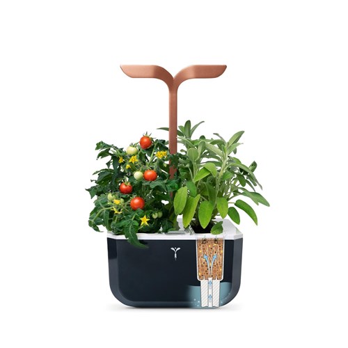 Véritable® EXKY Indoor Garden Smart (Copper)