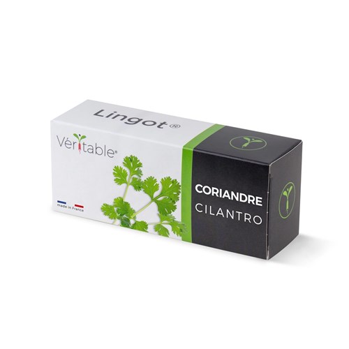 Véritable® Seed Lingot® Coriander (Cilantro)