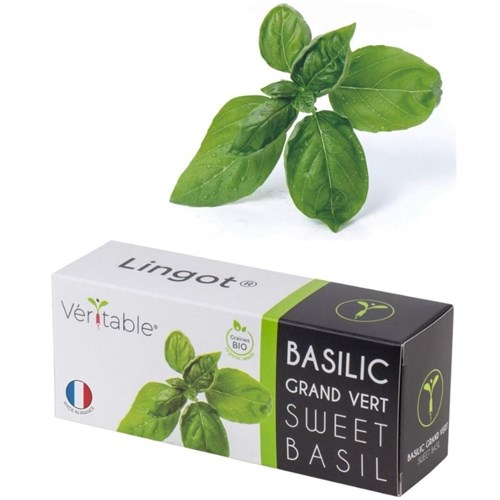 Véritable® Seed Lingot® Basil Sweet