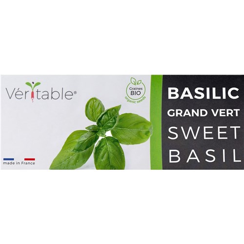 Véritable® Seed Lingot® Basil Sweet