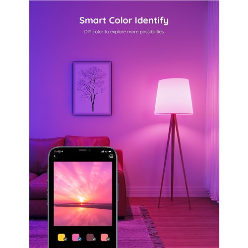 Govee WIFI & Bluetooth Smart Light Bulb (B22)