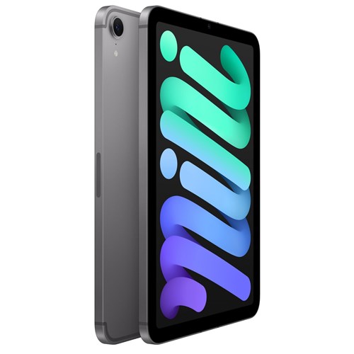 Apple iPad mini 8.3-inch Wi-Fi + Cellular 128GB (Space Grey)[A17 Pro Chip]