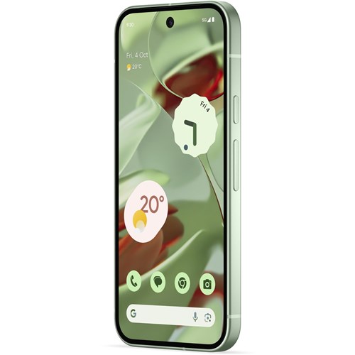 Google Pixel 9 5G 256GB (Wintergreen)