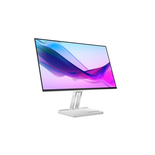 Lenovo L24i-4A 23.8' FHD 100Hz IPS Monitor