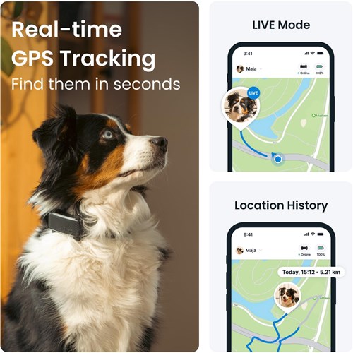 Tractive GPS Tracker Dog 6 (Black)