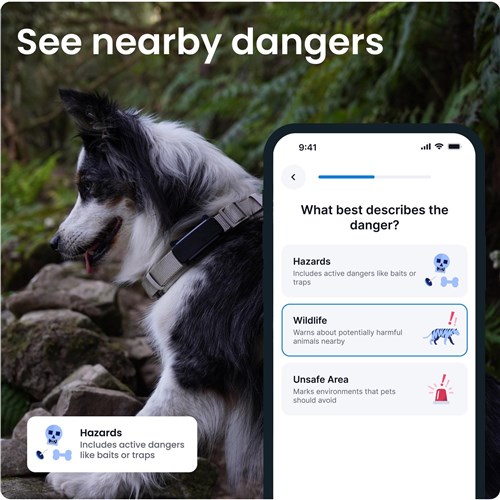 Tractive GPS Tracker Dog 6 (Black)