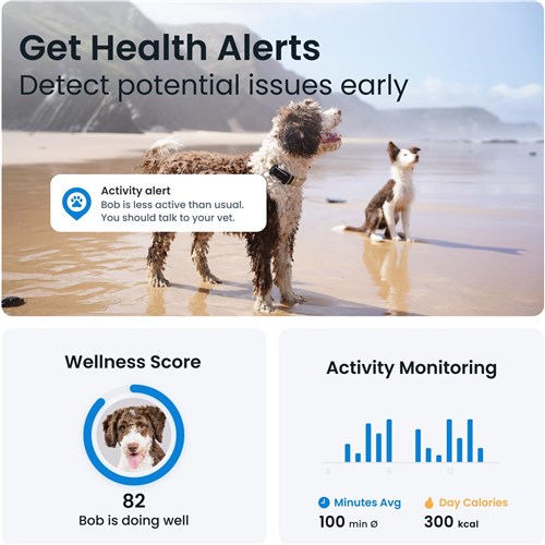 Tractive GPS Tracker Dog 6 (Black)