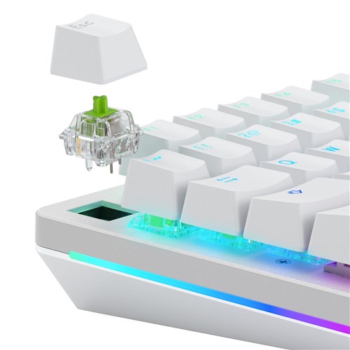 Glorious Raptor MX Clicky Switches (36 Pack)