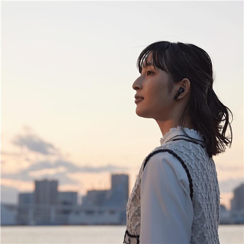 Denon AHC500W True Wireless In-Ear Headphones (Black)