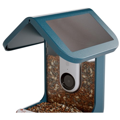 Birdbuddy Smart Bird Feeder with Solar Roof (Blue)