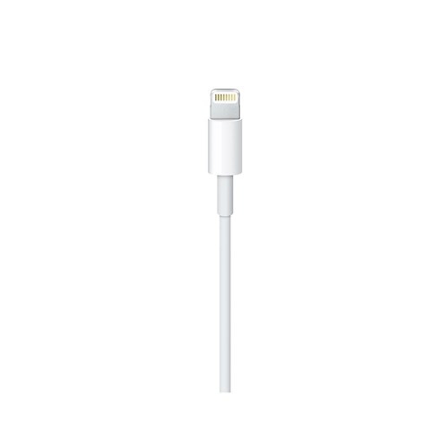 Apple USB-C to Lightning Cable (1m)